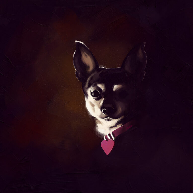 A chiaroscuro portrait of the late great Leila, a rat terrier chihuahua wearing a red collar with a heart-shaped tag