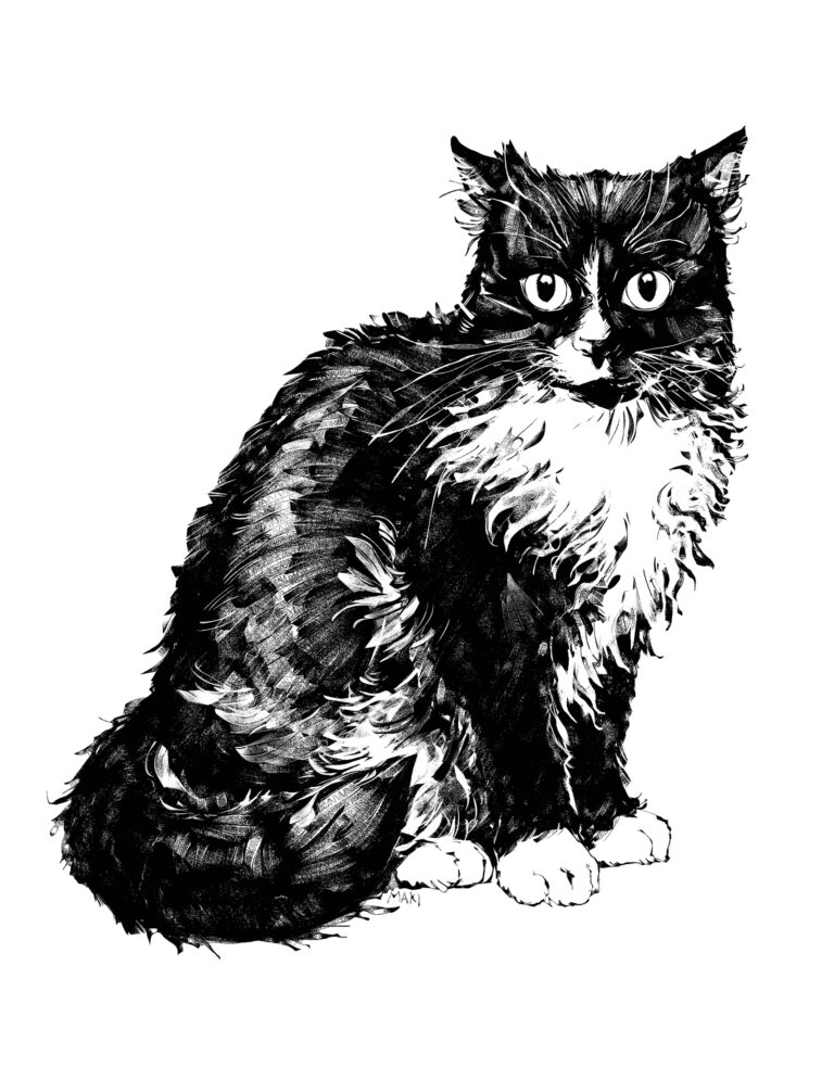 A digital ink drawing of Mystie, the client's late cat. She is sitting, looking at the viewer. Her dark hair is wild and voluminous, marked with an equally wild white chest and paws. She has so many whiskers and great eyebrows.