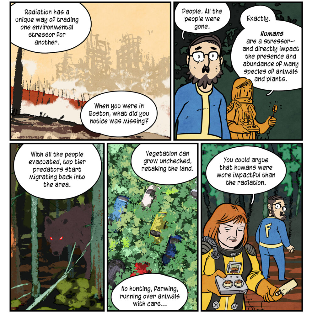 A scene from burnt out Boston with Kathryn's narration: Radiation has a unique way of trading one environmental stressor for another. When you were in Boston, what did you notice was missing? Maki thinks and realizes: People. All the people were gone. Kathryn: Exactly. Humans are a stressor— and directly impact the presence and abundance of many species of animals and plants. A wolf prowls in the forest as she continues: With all the people evacuated, top tier predators start migrating back into the area. A scene of a highway full of abandoned cars, now overgrown with lush greenery: Vegetation can grow unchecked, retaking the land. No hunting, farming, running over animals with cars. You could argue that humans were more impactful than the radiation.