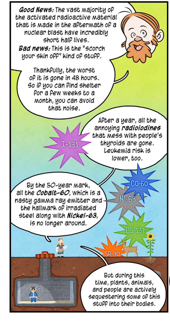A tiny Phil stands next to a sunflower and a deer as he narrates the scene of variously labeled isotopes falling from the sky. Underneath him is Maki crying in a bunker. Phil: Good News: The vast majority of the activated radioactive material that is made in the aftermath of a nuclear blast have incredibly short half lives. Bad news: This is the “scorch your skin off” kind of stuff. Thankfully, the worst of it is gone in 48 hours. So if you can find shelter for a few weeks to a month, you can avoid that noise. Phil continues: After a year, all the annoying radioiodines that mess with people's thyroids are gone. Leukemia risk is lower, too. By the 50-year mark, all the Cobalt-60, which is a nasty gamma ray emitter and the hallmark of irradiated steel along with Nickel-63, is no longer around. But during this time, plants, animals, and people are actively sequestering some of this stuff into their bodies.
