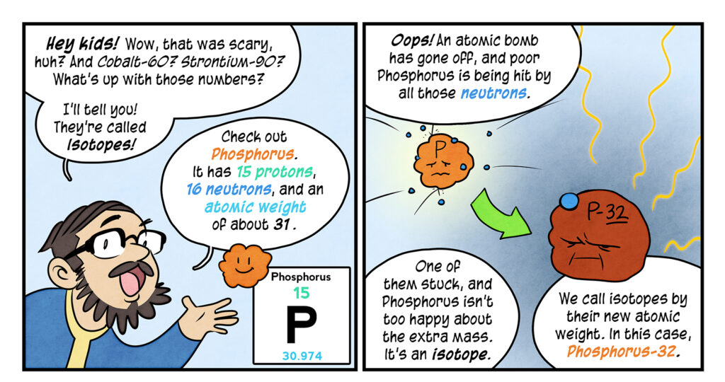 In an interlude, Maki explains the concept of isotopes. Maki: Hey kids! Wow, that was scary, huh? And Cobalt-60? Strontium-90? What’s up with those numbers? I’ll tell you! They’re called Isotopes! Gesturing towards a cute smiling blob in front of a color coded periodic table icon: Check out Phosphorus. It has 15 protons, 16 neutrons, and an atomic weight of about 31. Tiny blue marbles hit the blob: Oops! An atomic bomb has gone off, and poor Phosphorus is being hit by all those neutrons. One of them stuck, and Phosphorus isn’t too happy about the extra mass. It’s an isotope. The blob looks big and angry now: We call isotopes by their new atomic weight. ln this case, hosphorus-32.