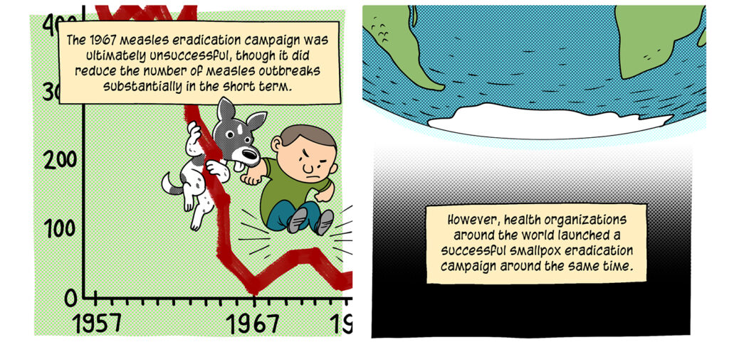 A short-haired Peanuts style character and a cartoon rat-terrier slide down a chart's descending line, stomping it down at the end. The chart is labeled with years on the X-Axis and with cases on the Y-Axis. Caption: The 1967 measles eradication campaign was ultimately unsuccessful, though it did reduce the number of measles outbreaks substantially in the short term. However, health organizations around the world launched a successful smallpox eradication campaign around the same time.